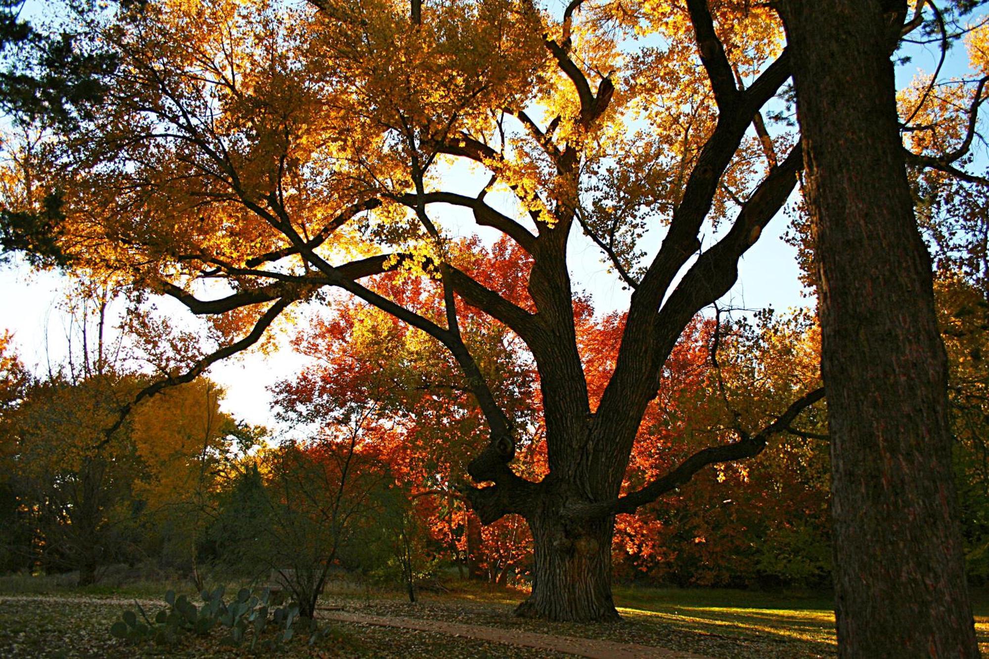 Cathedral Casita At Sedona Cathedral Hideaway Llcヴィラ エクステリア 写真